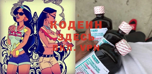 ГАЛЛЮЦИНОГЕННЫЕ ГРИБЫ Арсеньев