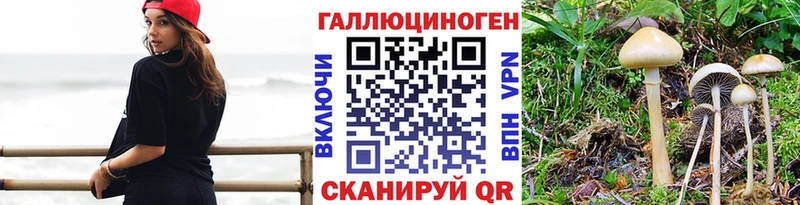omg ССЫЛКА  что такое   Шацк  Галлюциногенные грибы Magic Shrooms 